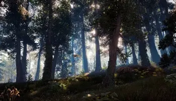 Screenshot of forest in Horizon Zero Dawn 