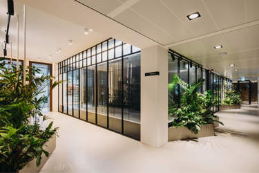 A corridor inside the Guerrilla offices, full of green plants